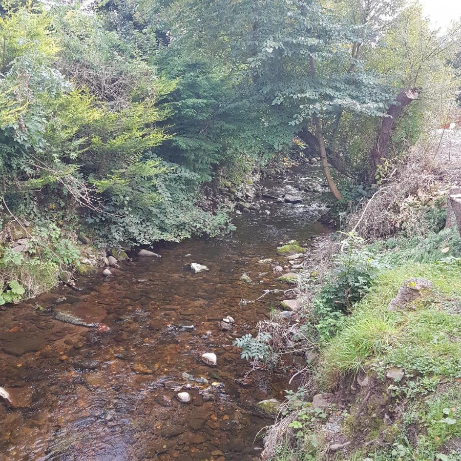 Bear Lodge Auchterarder Bagian luar foto
